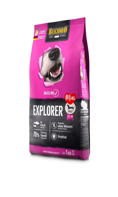 Belcando Baseline Explorer